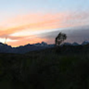 Meet your Posher, Tanner